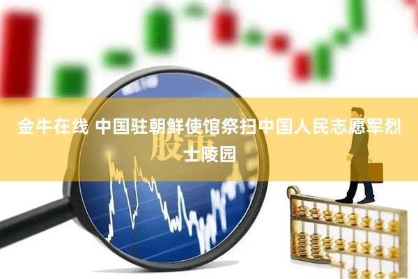 金牛在线 中国驻朝鲜使馆祭扫中国人民志愿军烈士陵园
