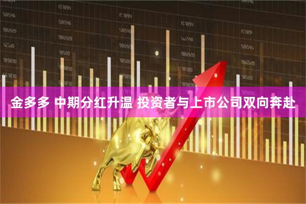 金多多 中期分红升温 投资者与上市公司双向奔赴