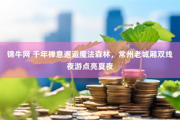 锦牛网 千年禅意邂逅魔法森林，常州老城厢双线夜游点亮夏夜