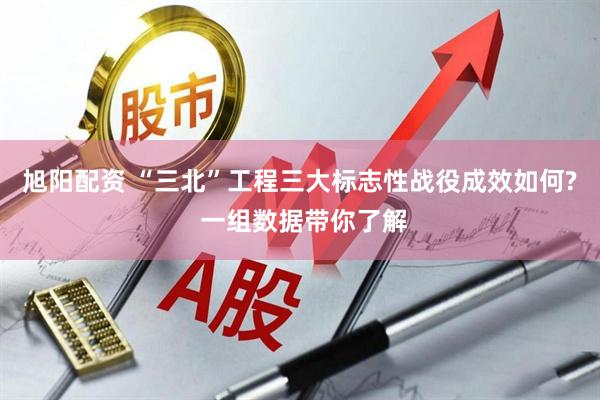 旭阳配资 “三北”工程三大标志性战役成效如何? 一组数据带你了解