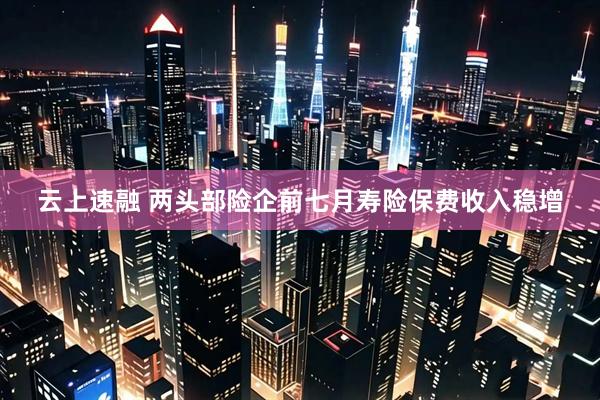 云上速融 两头部险企前七月寿险保费收入稳增