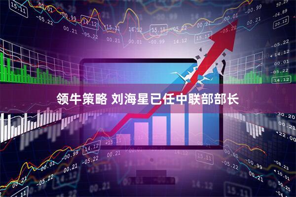 领牛策略 刘海星已任中联部部长