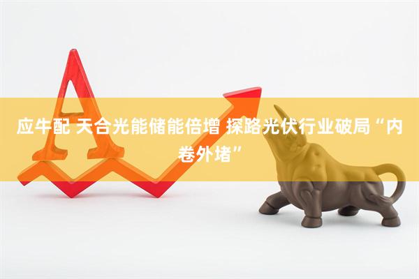 应牛配 天合光能储能倍增 探路光伏行业破局“内卷外堵”
