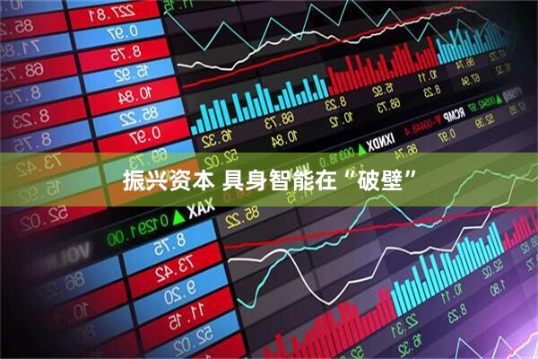 振兴资本 具身智能在“破壁”
