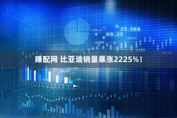 赚配网 比亚迪销量暴涨2225%!